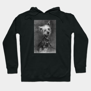 Skoidie by Stevie Ray Hoodie